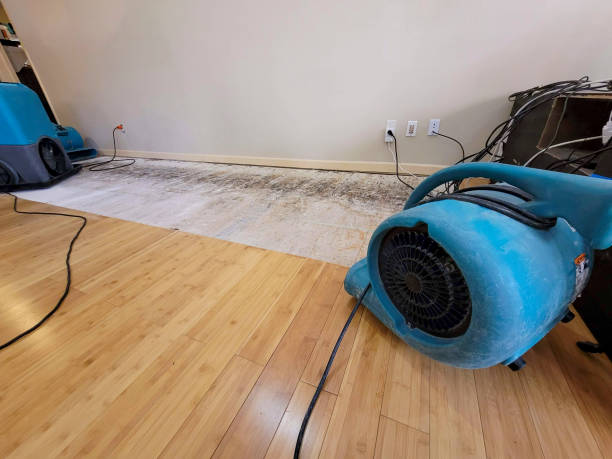 Professional Structural Drying technician working in Burlington, MA